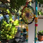 فندق مبيت وإفطار Suleymans Garden