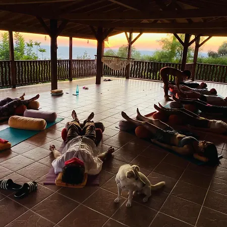 فندق مبيت وإفطار Suleymans Garden *