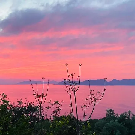 Suleymans Garden Bed and breakfast *