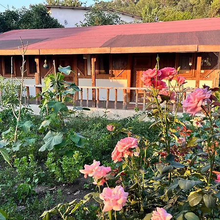 Suleymans Garden Bed and breakfast