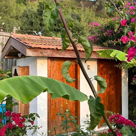 Suleymans Garden فندق مبيت وإفطار