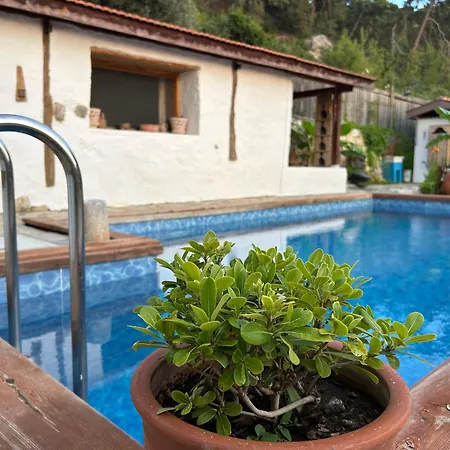 Bed and breakfast Suleymans Garden