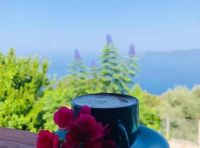 Bed & Breakfast Suleymans Garden Faralya