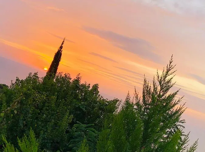 Suleymans Garden Bed & Breakfast