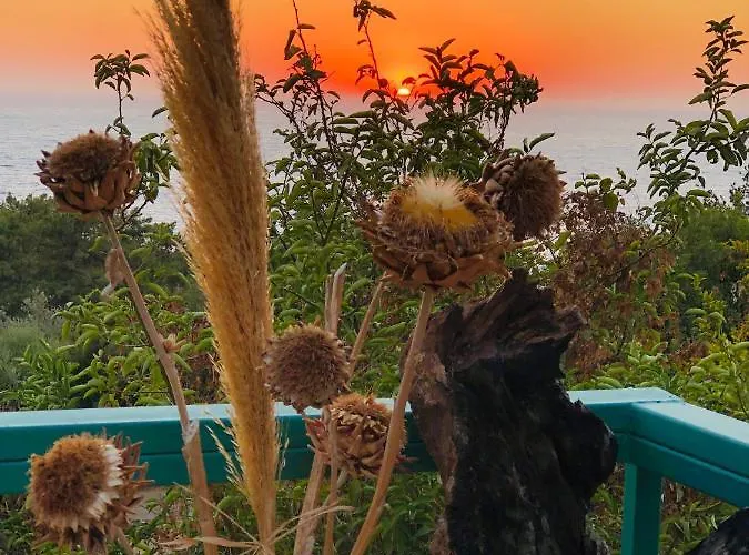 Suleymans Garden Bed & Breakfast