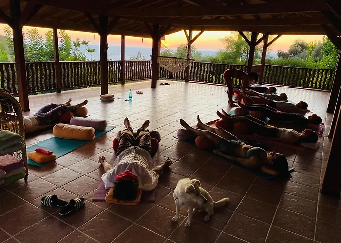 Bed & Breakfast Suleymans Garden *