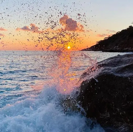 Suleymans Garden Faralya