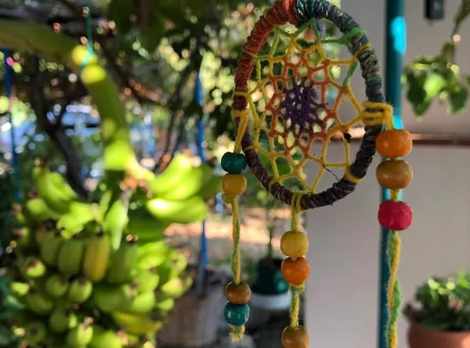 Bed & Breakfast Suleymans Garden