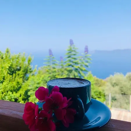 Bed & Breakfast Suleymans Garden Faralya