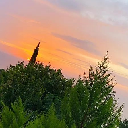 Suleymans Garden Bed & Breakfast