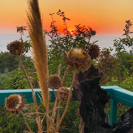 Suleymans Garden Bed & Breakfast