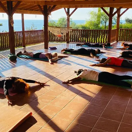 Bed & Breakfast Suleymans Garden *