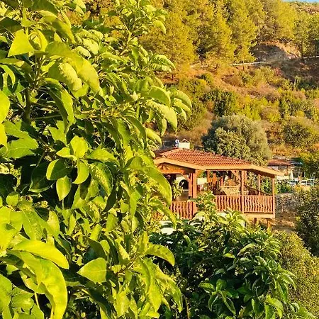 Suleymans Garden * Faralya