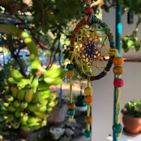 Alojamento de Acomodação e Pequeno-almoço Suleymans Garden