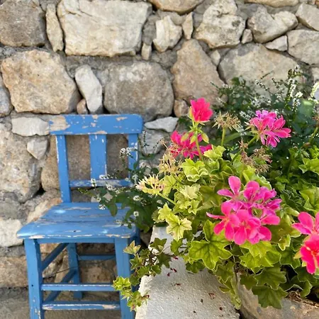 Bed & Breakfast Suleymans Garden Faralya