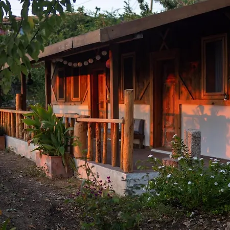 Suleymans Garden Bed & Breakfast Faralya