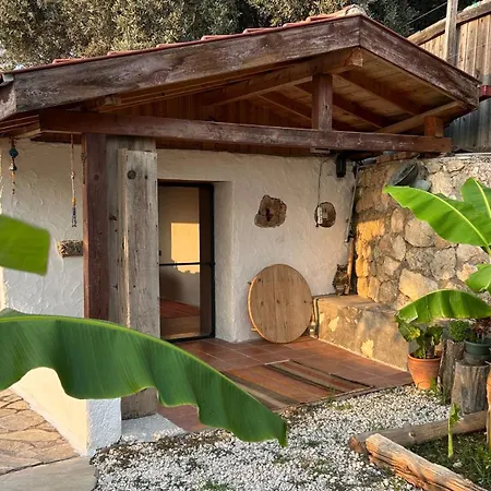 Suleymans Garden Bed & Breakfast *