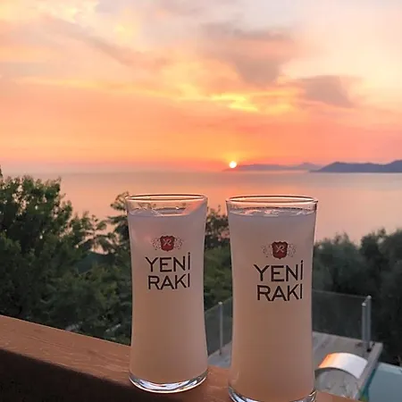 Suleymans Garden * 파랄리아