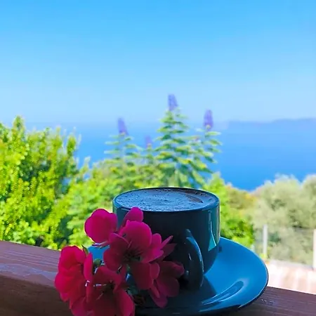 Suleymans Garden B&B *