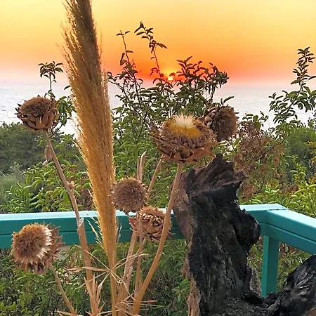 B&B Suleymans Garden