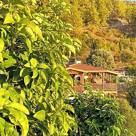 B&B Suleymans Garden
