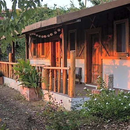 Suleymans Garden B&B *