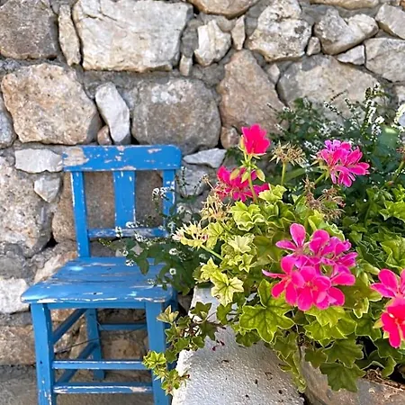 Suleymans Garden Faralya