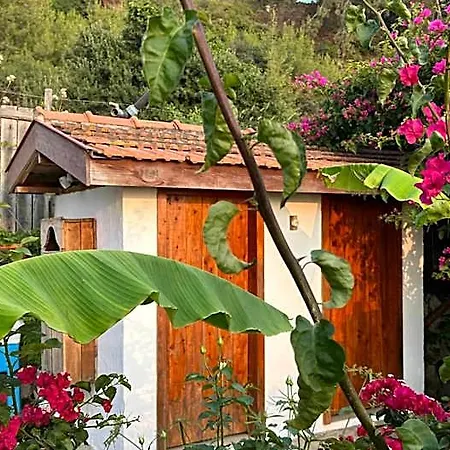 Suleymans Garden