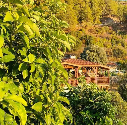 Suleymans Garden * Faralya