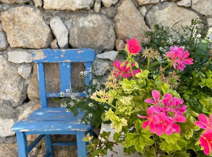 Bed & Breakfast Suleymans Garden Faralya