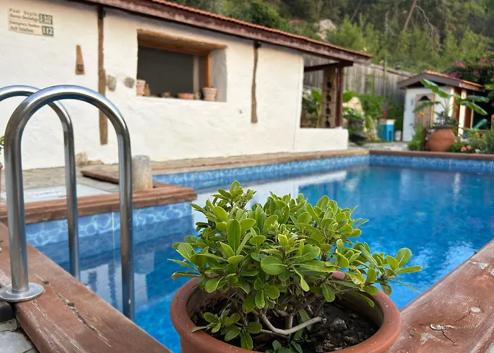 Bed & Breakfast Suleymans Garden